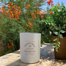 Load image into Gallery viewer, Citronella Candle, Mosquito repellent, natural outdoor candle, patio candle,bug away, repels bugs, summer candle,lemon candle, essential oil